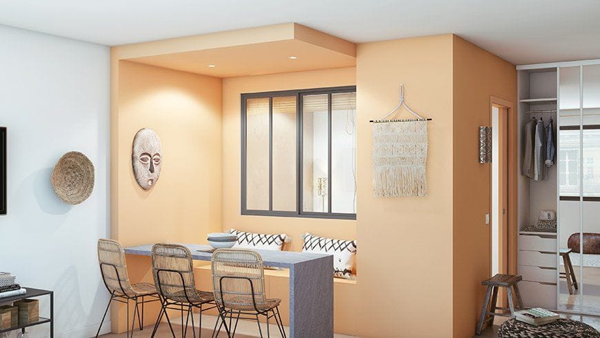 Un salon avec chambre