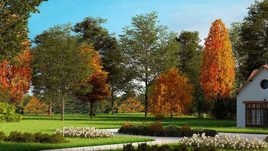 Garage à la campagne, vue avant