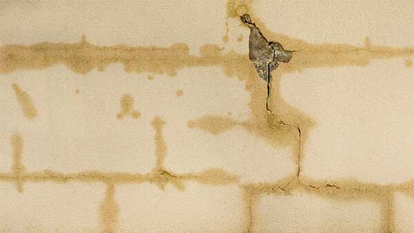 Infiltration d'eau par les murs