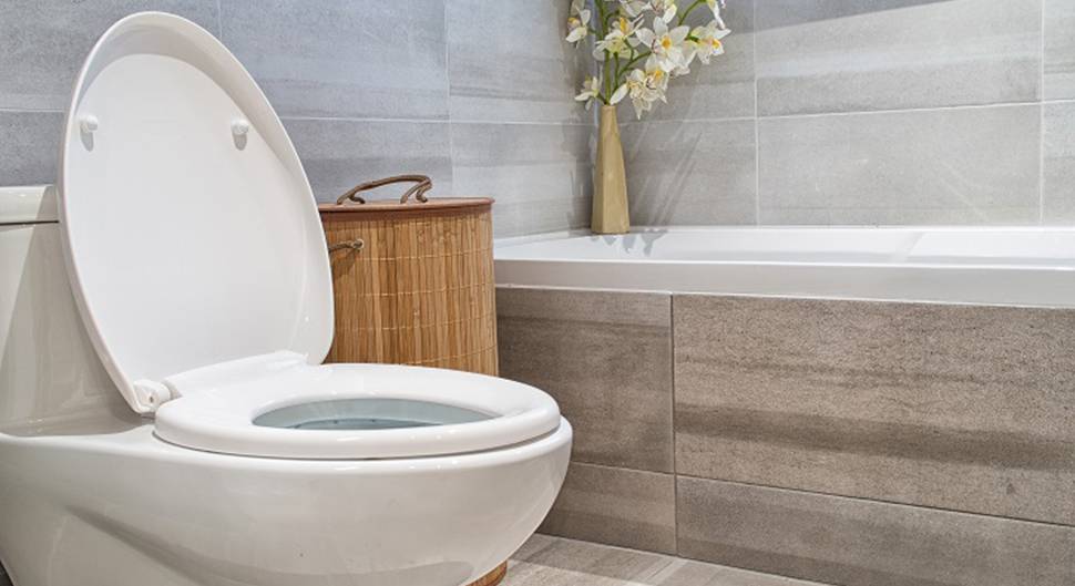 Fosse septique et tout-à-l’égout : le thème de l’assainissement