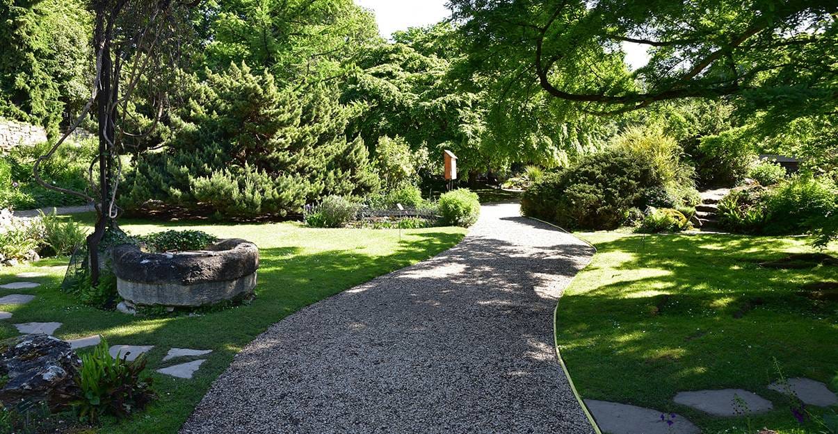 Une belle allée de jardin