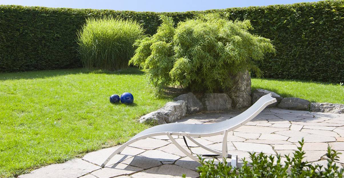 Haie végétale : les avantages