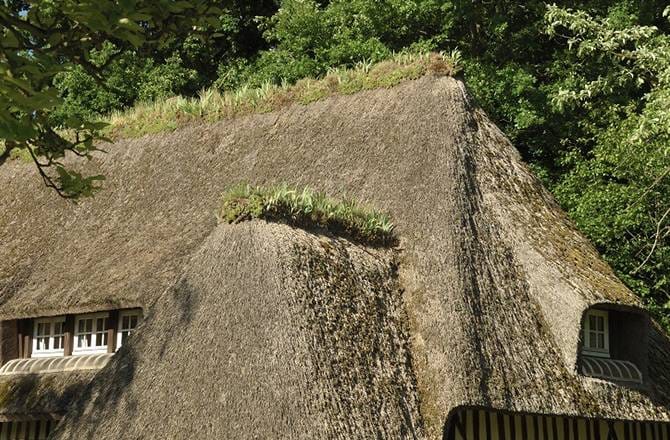 La toiture en chaume a un fort pouvoir isolant 