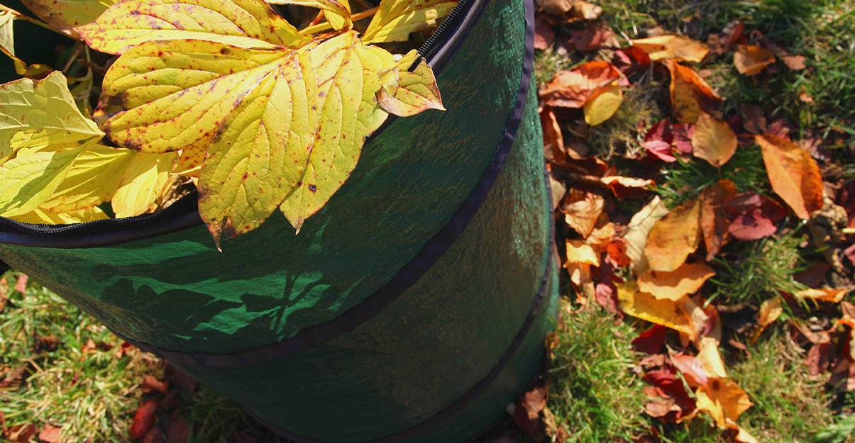 Entretien des allées de jardin