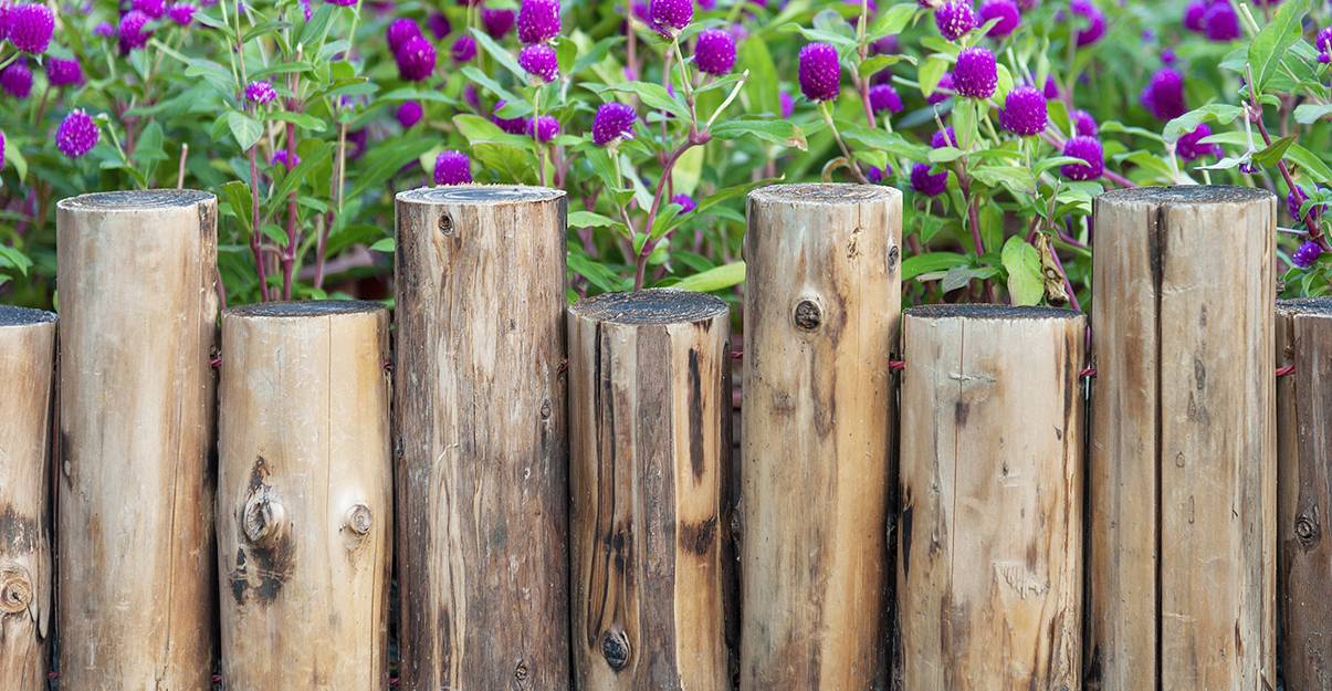 Aménagement de jardin : les bordures