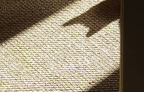 Sol intérieur : le jonc de mer 