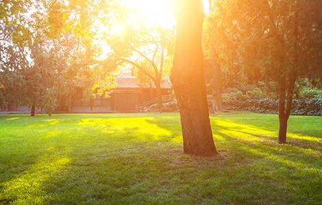 Aménagement d’un jardin : faire avec l'exposition