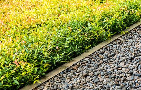 La bordure de jardin en béton