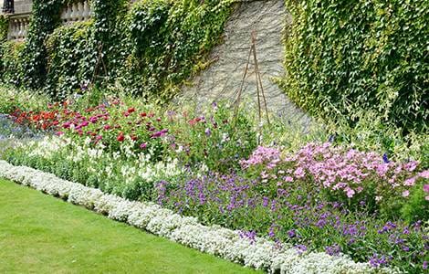 La bordure de jardin végétale