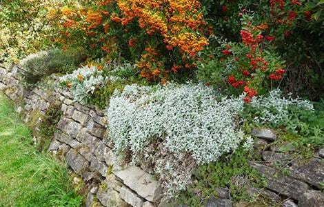 Mur de soutènement en pierres sèches