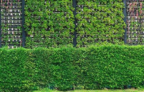 Clôture : le grillage rigide