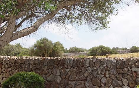 Clôture : le mur ou muret