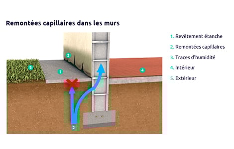 Remontées capillaires et sol étanche
