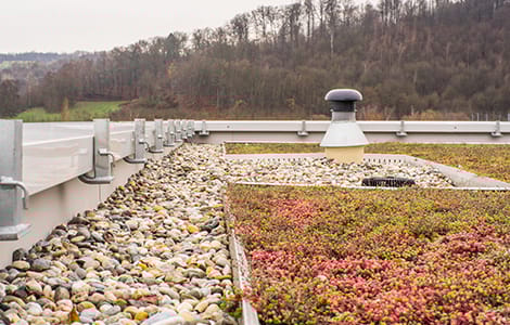 Végétalisation d’un toit terrasse non accessible