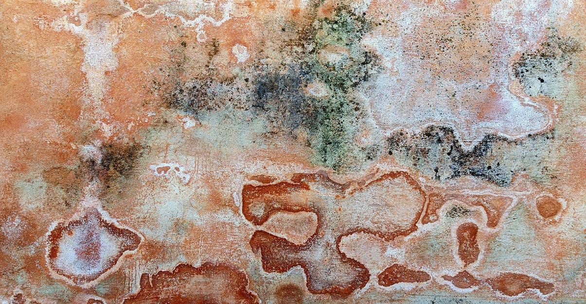 Remontée capillaire : le phénomène d’efflorescence