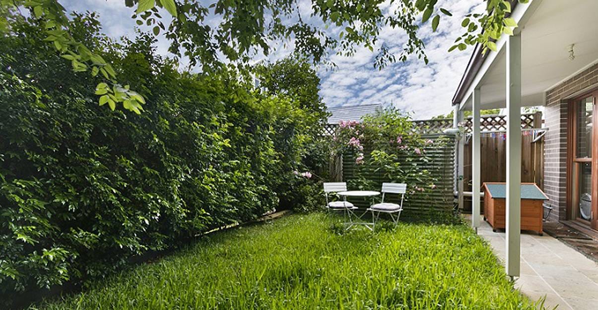 Haie mitoyenne : quelle obligations ?