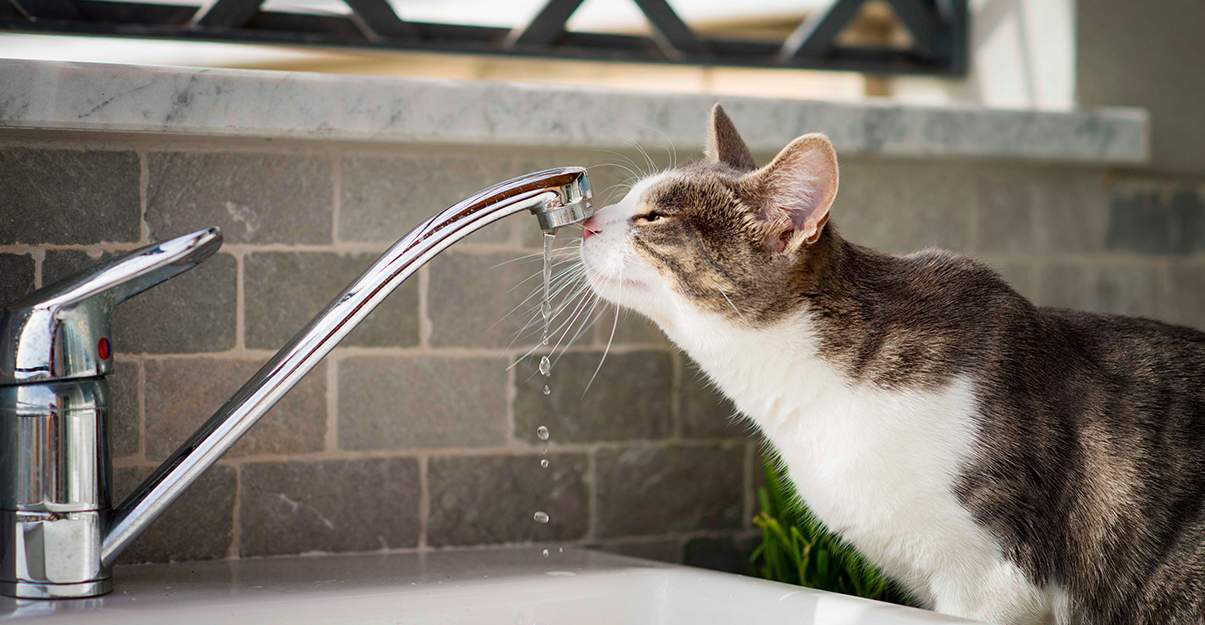 L’adoucisseur d’eau, efficace contre le calcaire