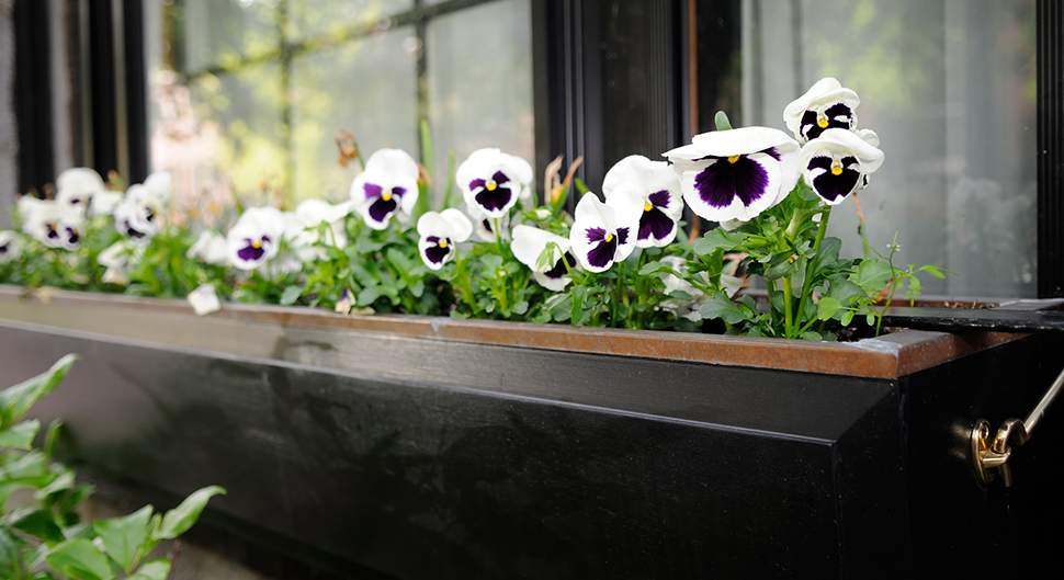jardinières et pots de fleurs