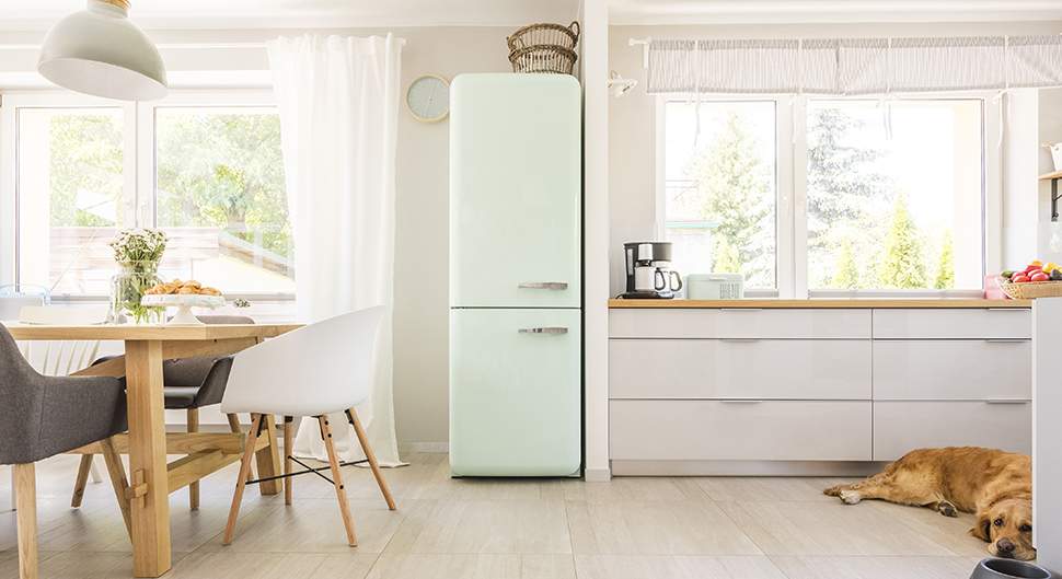 Comment choisir son réfrigérateur ?