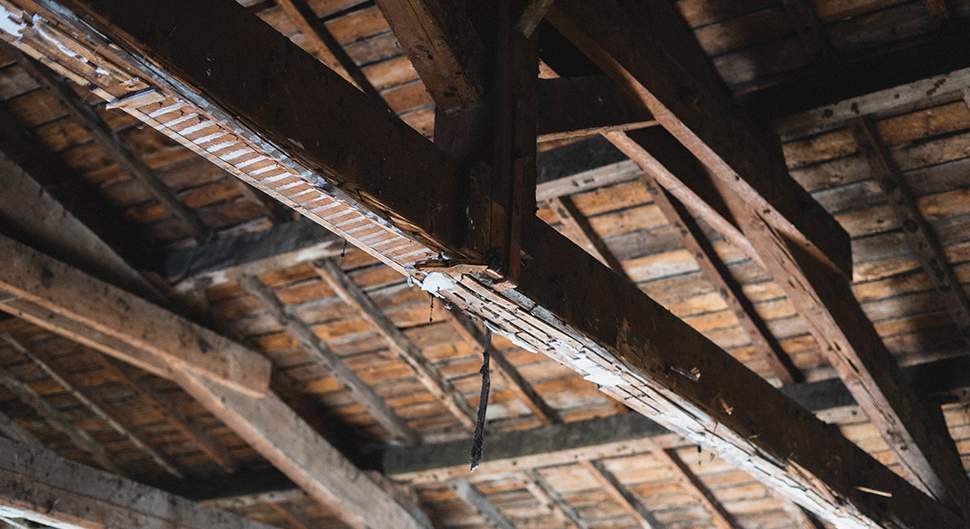 Traitement de charpente :  comment s’y prendre ?