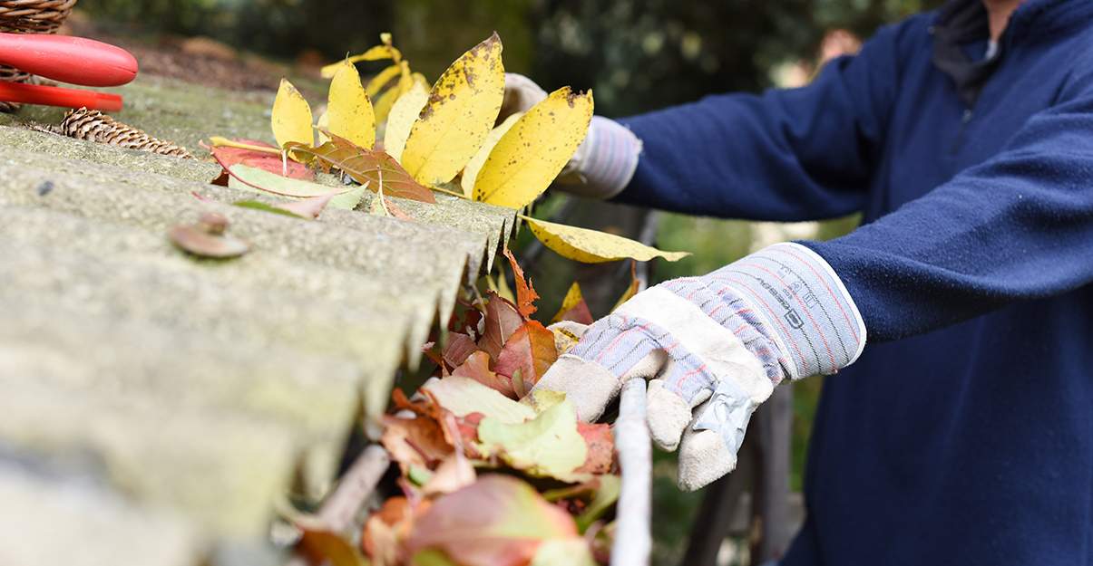 Nettoyer régulièrement sa gouttière, le premier réflexe pour une toiture pérenne