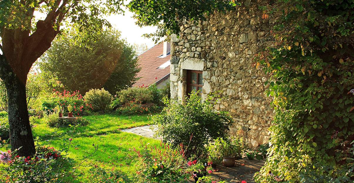 Jardin de rêve : les bonnes plantes