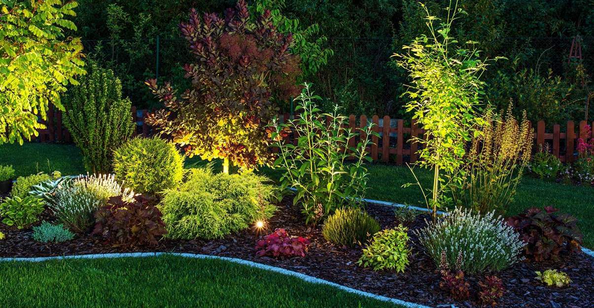 Illuminer un jardin : le retro éclairage