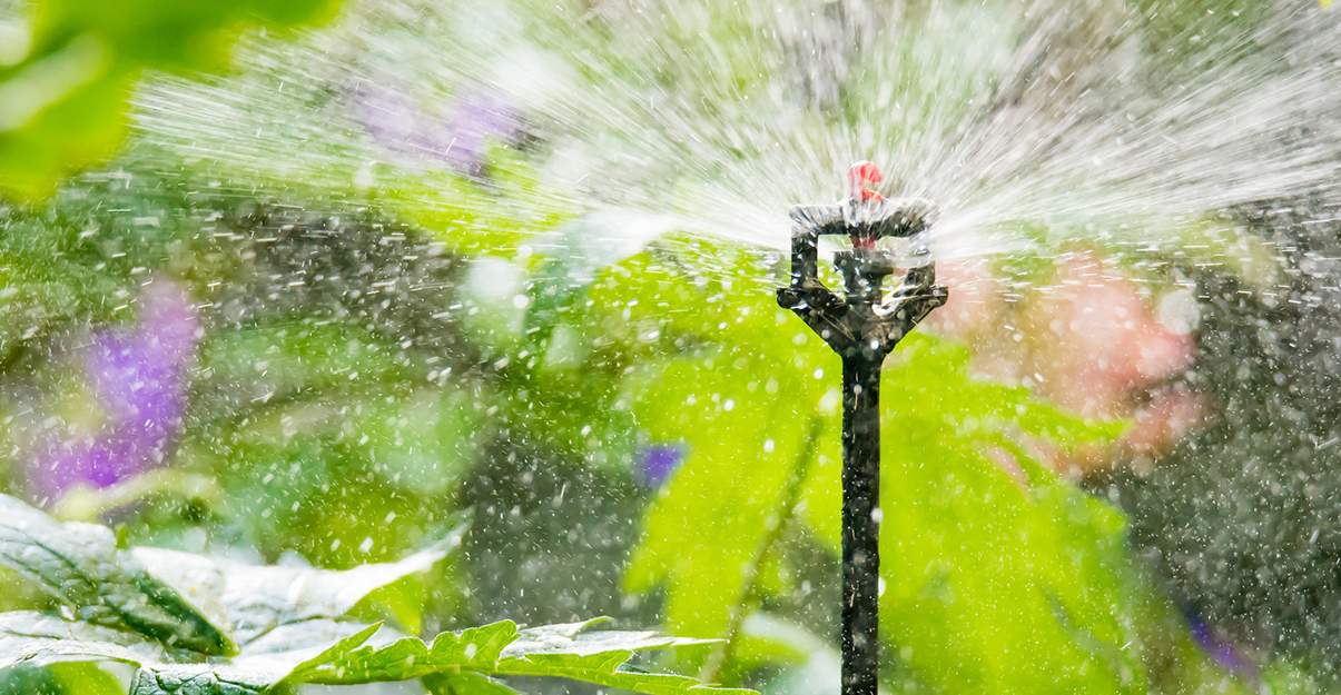 Extérieur facile à vivre : arrosage automatique