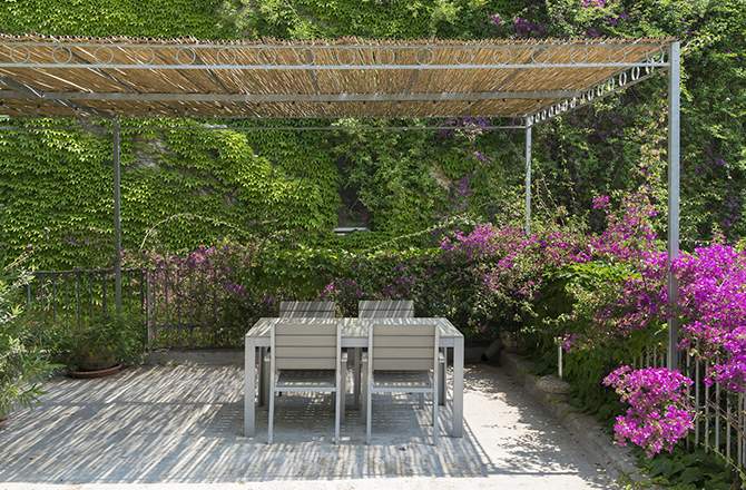 Aménagement d’une terrasse :  la treille