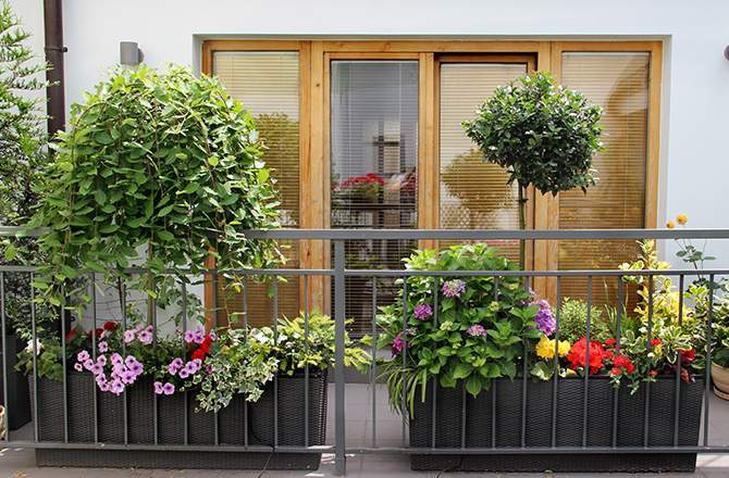 aménager un jardin sur son balcon : attention à l'exposition