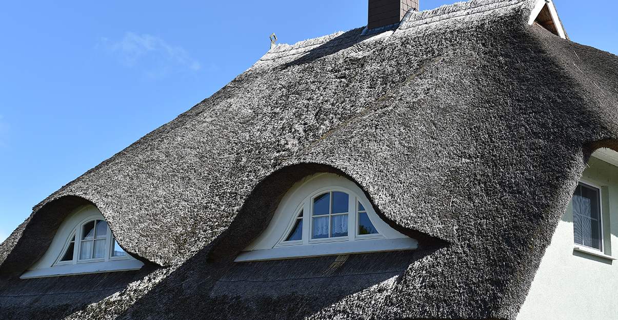   Le chaume : un matériau 100% biosourcé