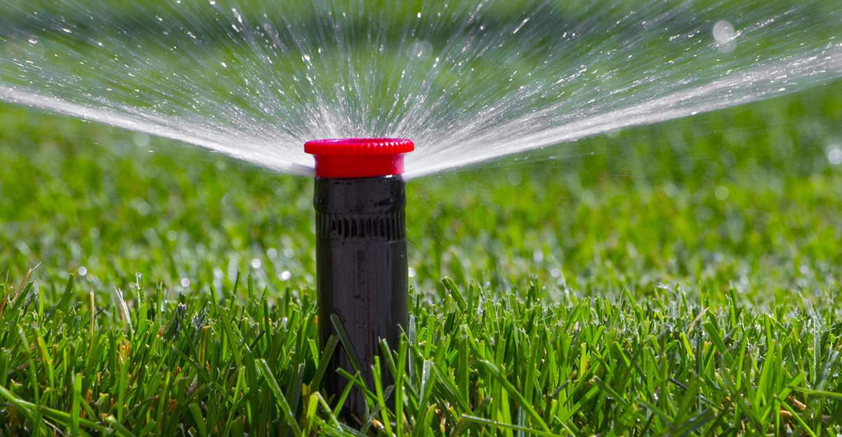 Domotique et arrosage automatique