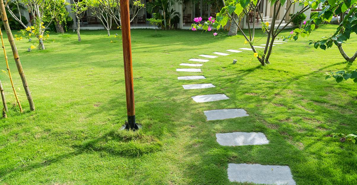 Jardin de rêve :! les allées