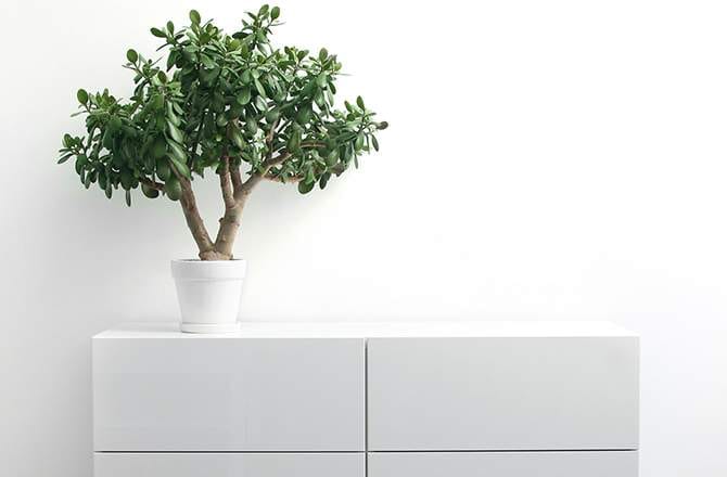 Décoration d’appartement : commode minimaliste