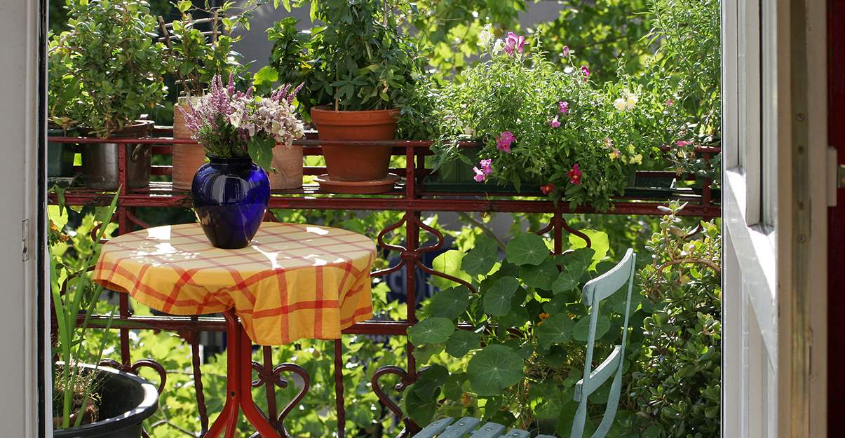 Aménagement d’un balcon : se mettre à l'abri des regards indiscrets