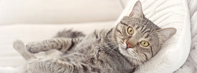 bien être chez soi saint-gobain