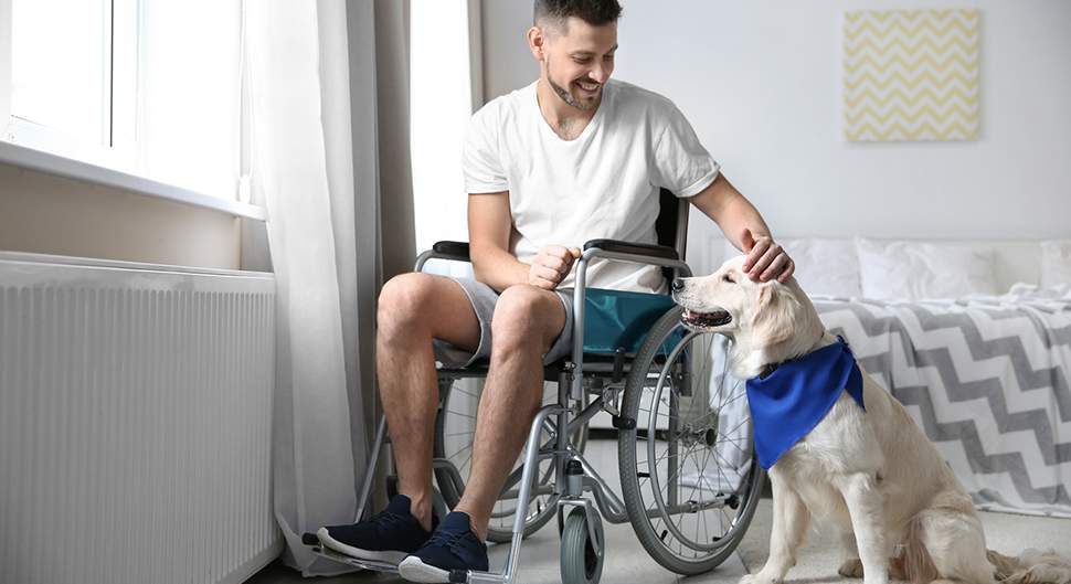 Chambre adaptée handicap - La chambre accessibilité