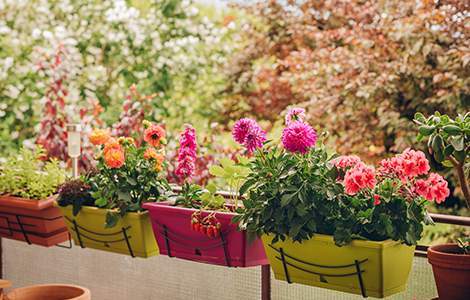 Créer un jardin sur son balcon :  les jardinières à l'intérieur