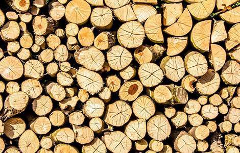 La bûche, l’énergie la moins chère