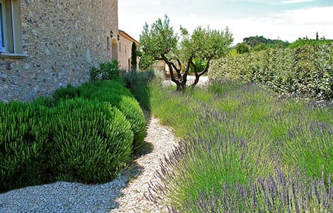 Un jardin méditerranéen