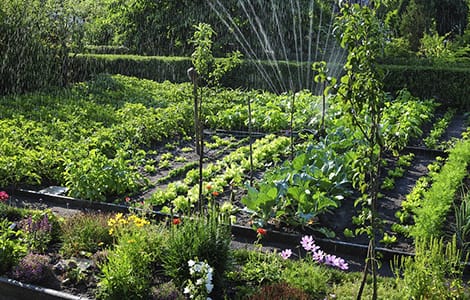 Style de jardin potager