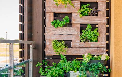 déco balcon : jardin vertical