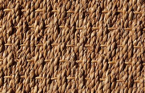 Faire le choix du jonc de mer 