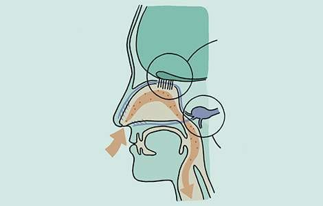 une maison plus saine