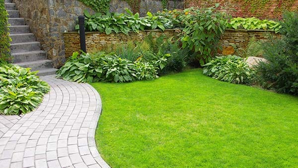 Un jardin fait dans les règles de l’art