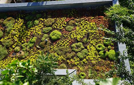 La toiture végétalisée suppose une structure solide pour la porter