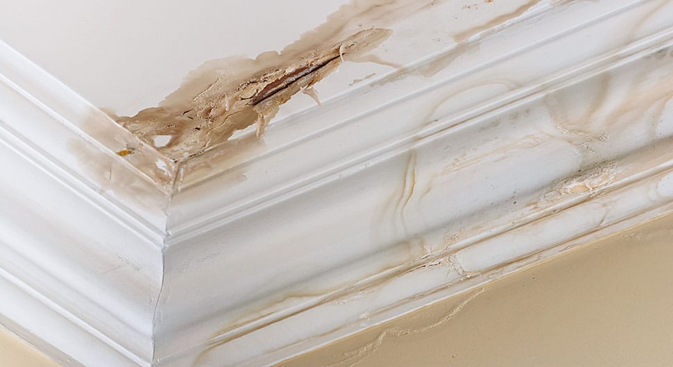 Infiltration par toiture