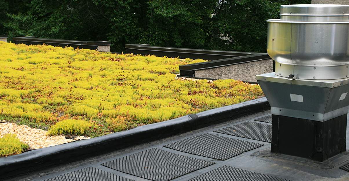 Isolation d’un toit végétalisé : une technique bien spécifique