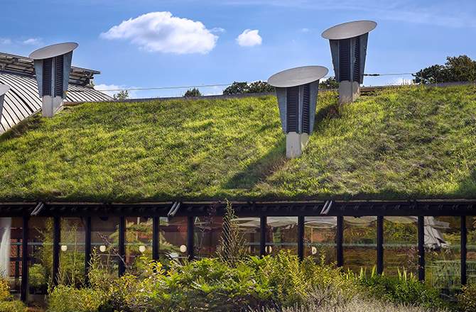 Toiture végétalisée :  isolation renforcée