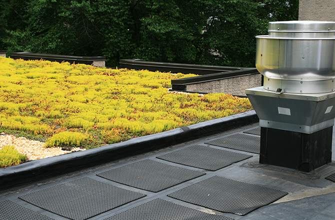 Etapes d’installation d’une toiture végétalisée